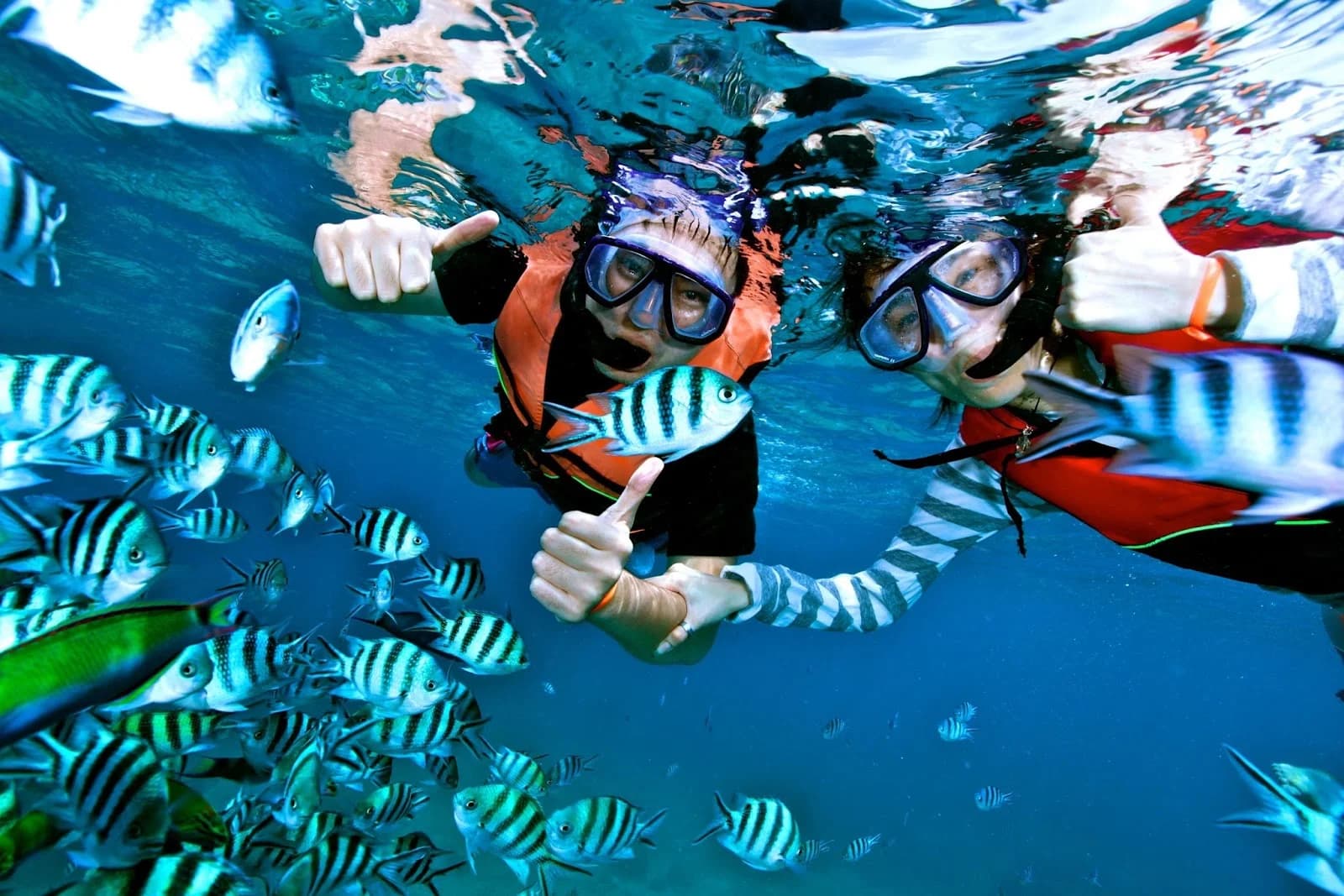 Aktivitas Menarik Snorkeling di Karimunjawa